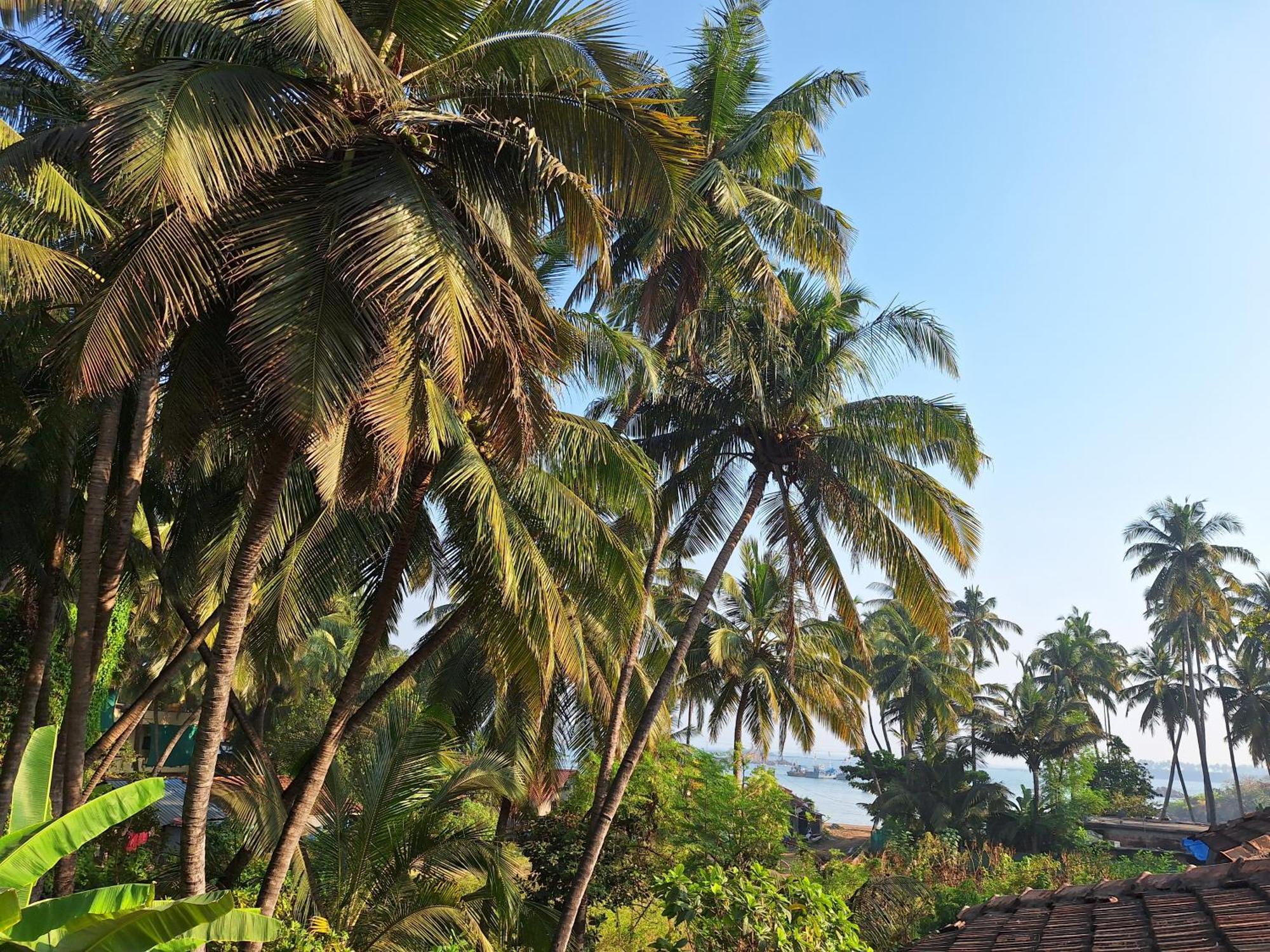 Anand Nivas Homestay Mālvan Exteriör bild